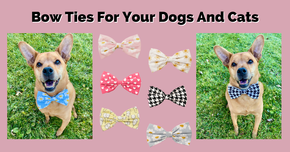 Dog Bandanas, Bowties & Cute Bows