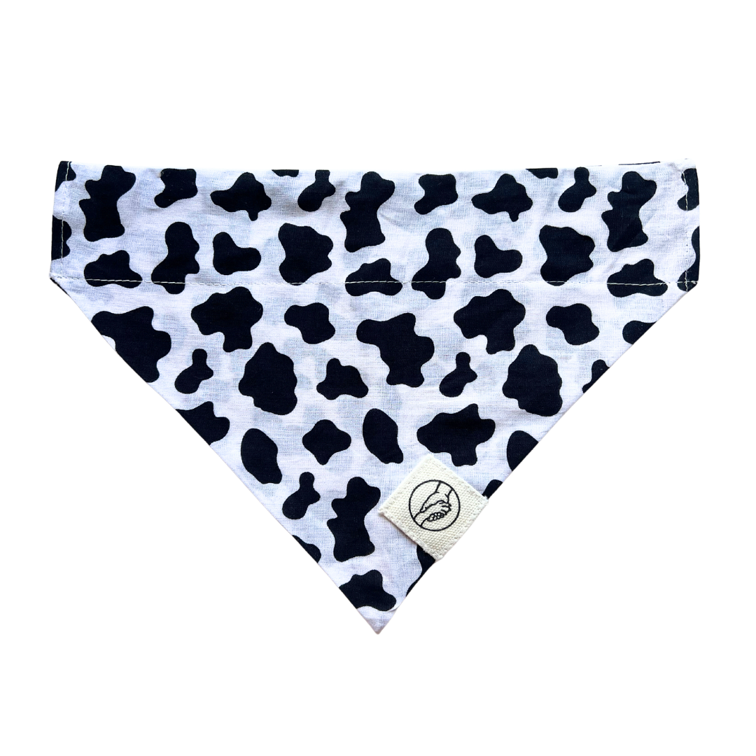Holy Cow Reversible-Slide On The Collar Pet Bandanas - Alex And Andy