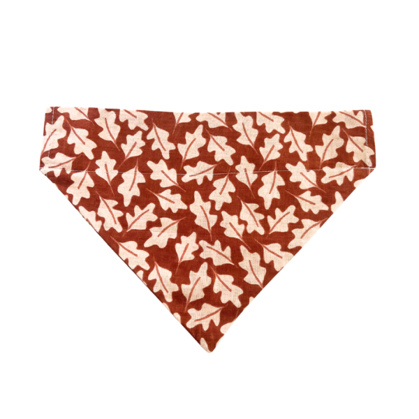 Fall And Pumpkin Reversible Slide On The Collar Pet Bandana