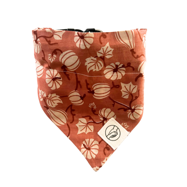 Fall And Pumpkin Reversible Slide On The Collar Pet Bandana