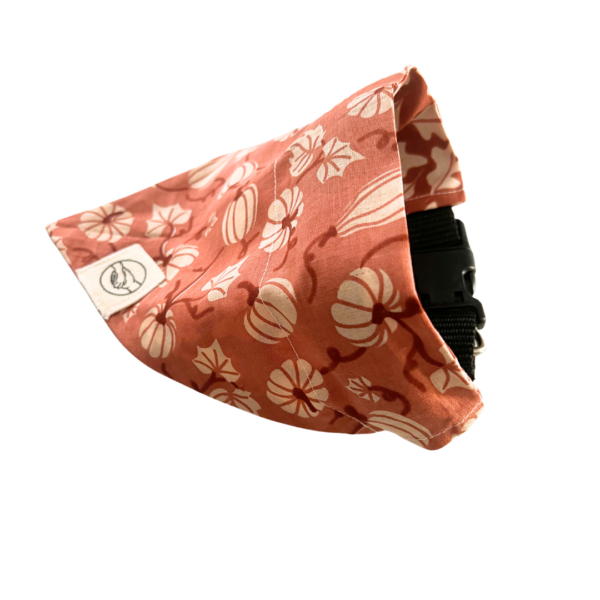 Fall And Pumpkin Reversible Slide On The Collar Pet Bandana