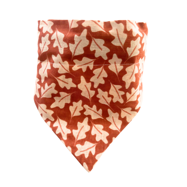 Fall And Pumpkin Reversible Slide On The Collar Pet Bandana