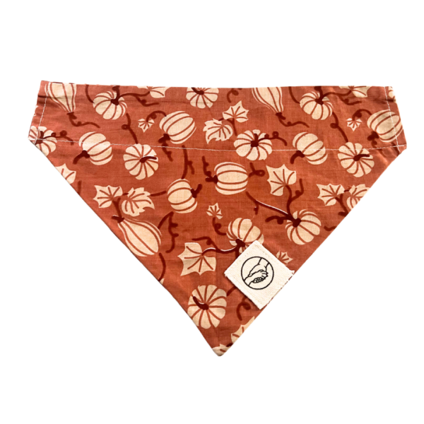 Fall And Pumpkin Reversible Slide On The Collar Pet Bandana