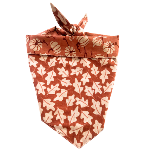 Fall Harvest Tie On Pet Bandana