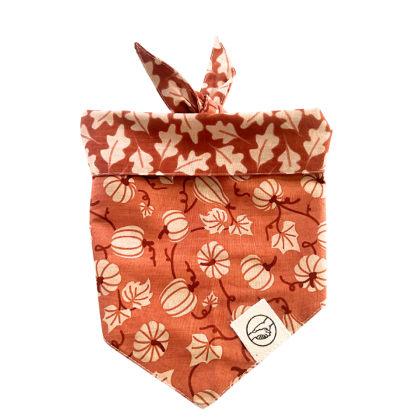 Fall Harvest Tie On Pet Bandana