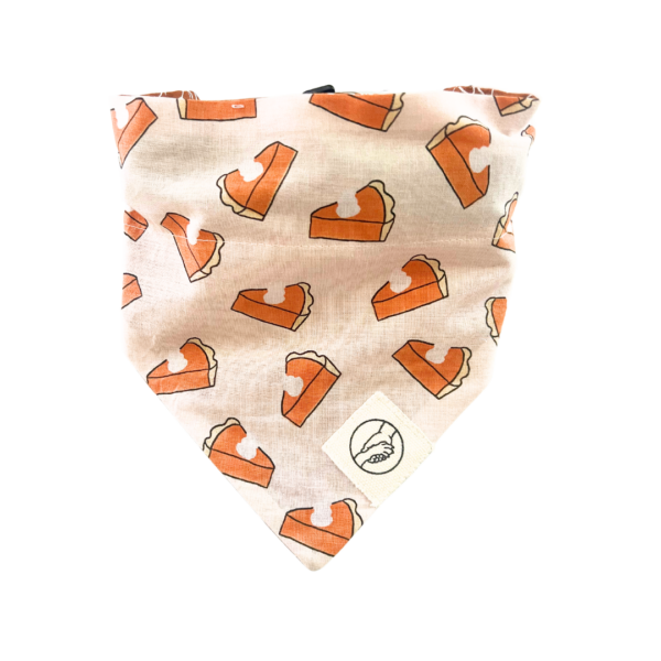 Pumpkin Pie Reversible Slide On The Collar Pet Bandana