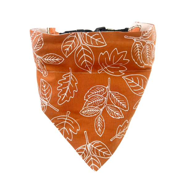 Pumpkin Pie Reversible Slide On The Collar Pet Bandana