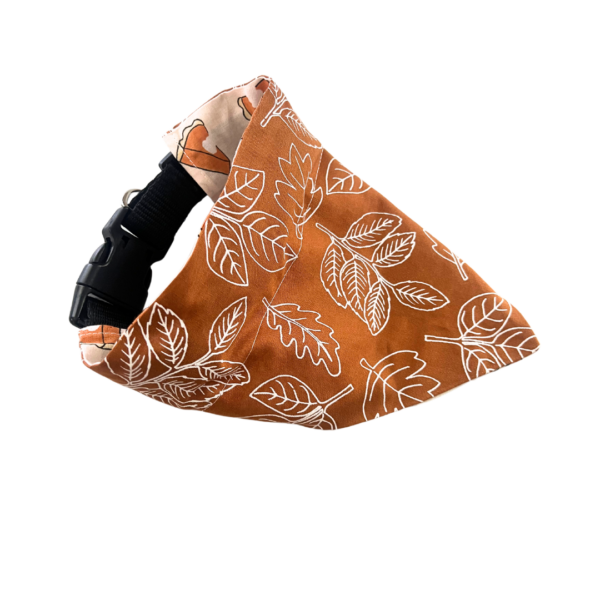 Pumpkin Pie Reversible Slide On The Collar Pet Bandana