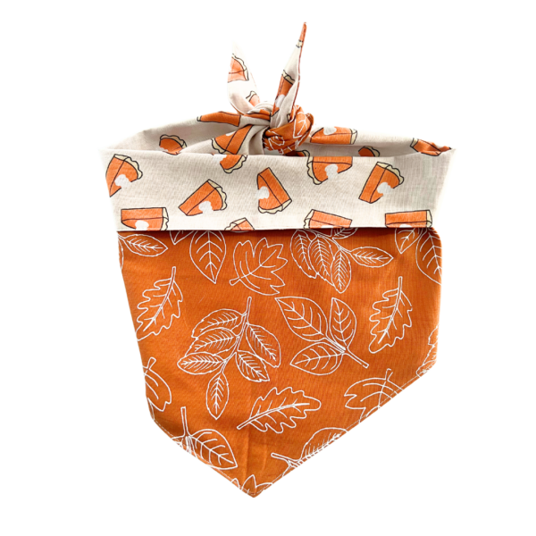 Pumpkin Pie Pet Bandana