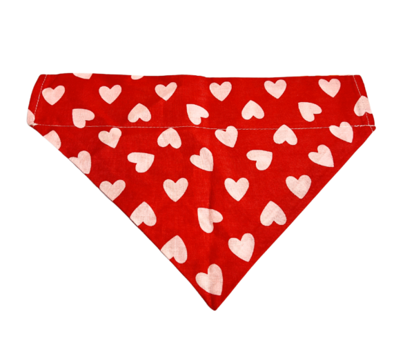 Valentine's Day Pet Bandanas : Slide On The Collar and Tie On - Washable - Cotton - Image 5