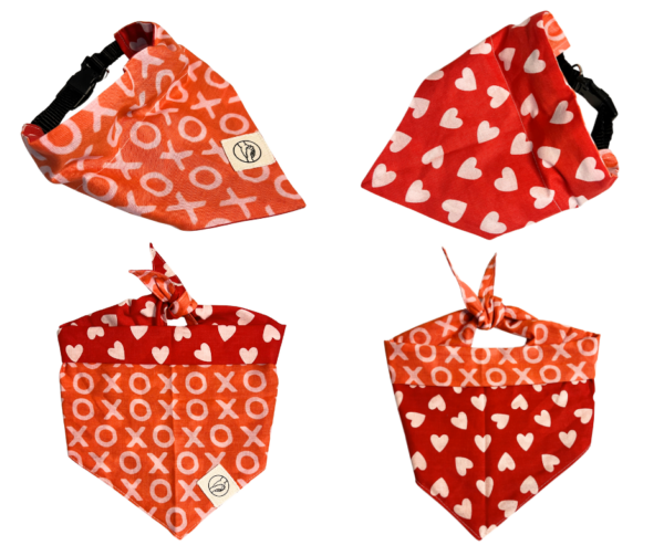 Valentine's Day Pet Bandanas : Slide On The Collar and Tie On - Washable - Cotton