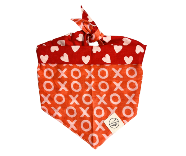 Valentine's Day Pet Bandanas : Slide On The Collar and Tie On - Washable - Cotton - Image 6