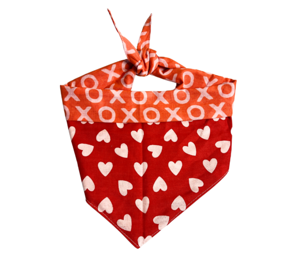 Valentine's Day Pet Bandanas : Slide On The Collar and Tie On - Washable - Cotton - Image 7